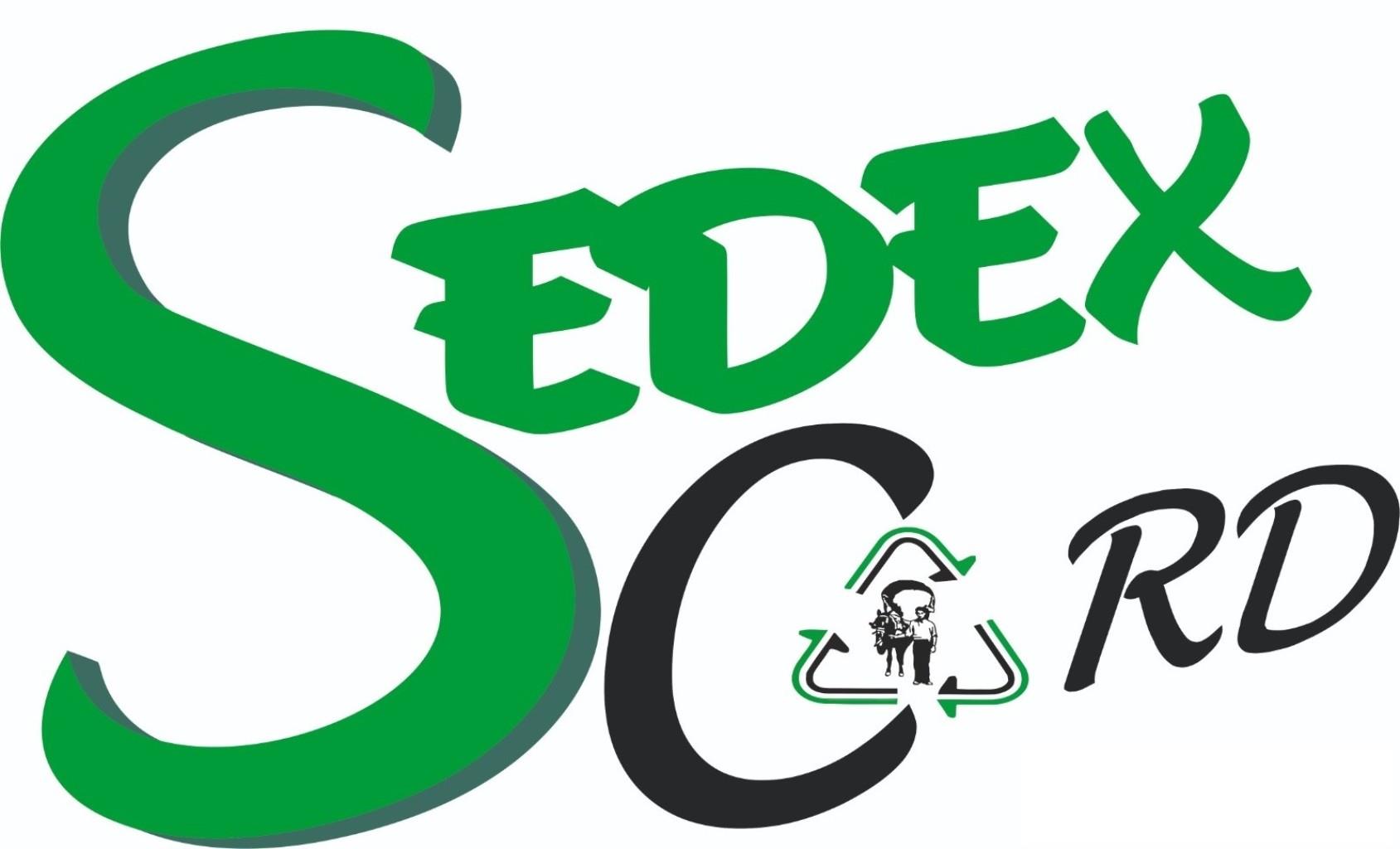 Logo SEDEX CARD S.L.