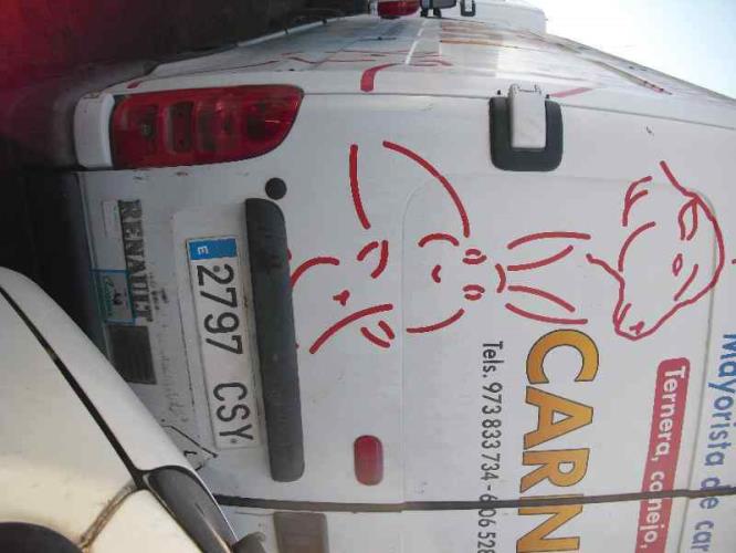 Foto del ricambio