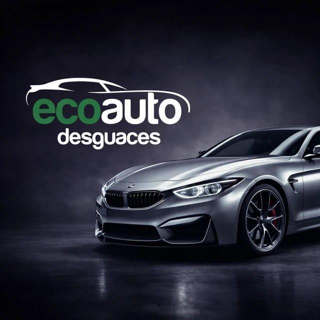 Logo ECOAUTO DEL VALLES SL