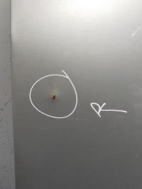Foto del ricambio