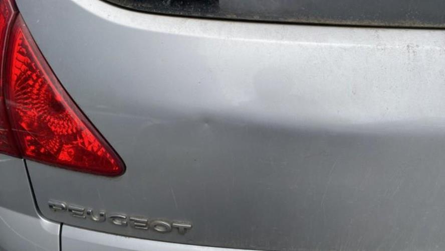 Image Malle/Hayon arriere - PEUGEOT 3008 1