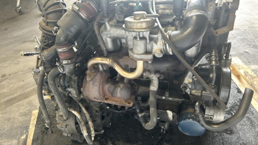 Image Moteur - FORD FOCUS 1