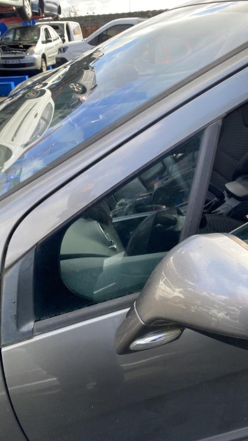 Image Custode avant gauche (porte) - PEUGEOT 308 1 SW