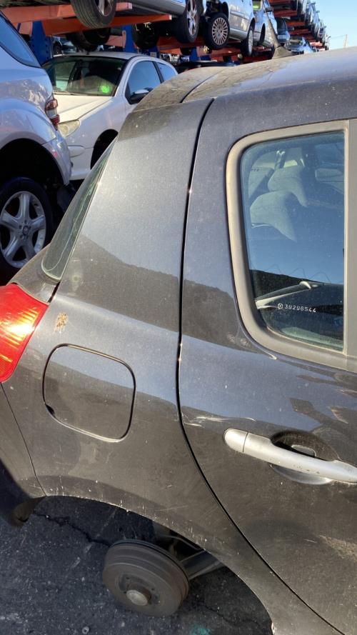 Image Custode arriere droit (porte) - RENAULT CLIO 3