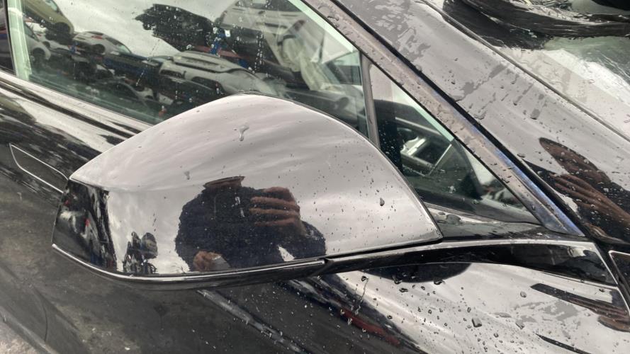 Image Custode avant droit (porte) - TESLA MODEL S 5YJS