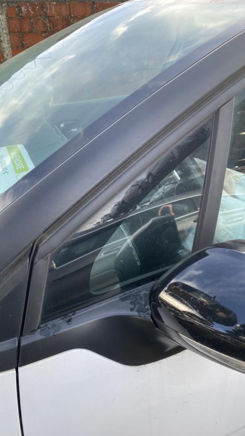 Image Custode avant gauche (porte) - CITROEN C3 3