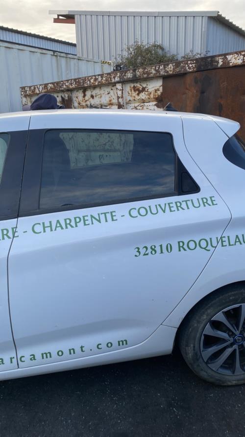 Image Porte arriere gauche - RENAULT ZOE 2