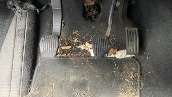 Pièce Auto