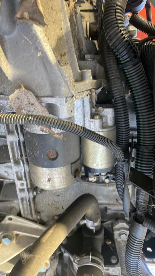 Image Demarreur - CITROEN XSARA