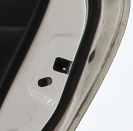 Image Poignee porte arriere droit - NISSAN LEAF 1