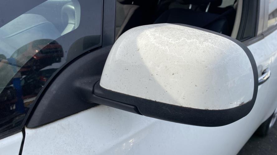 Image Retroviseur gauche - NISSAN LEAF 1