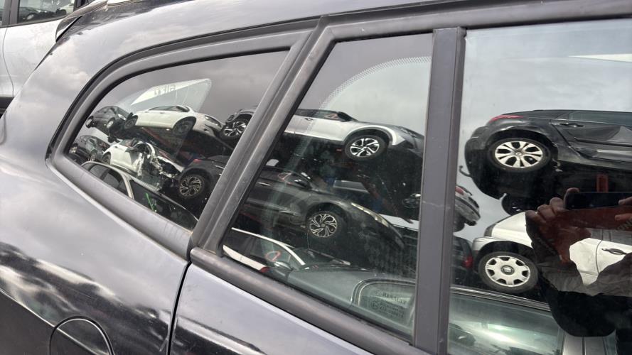 Image Custode arriere droit (porte) - RENAULT MEGANE 3