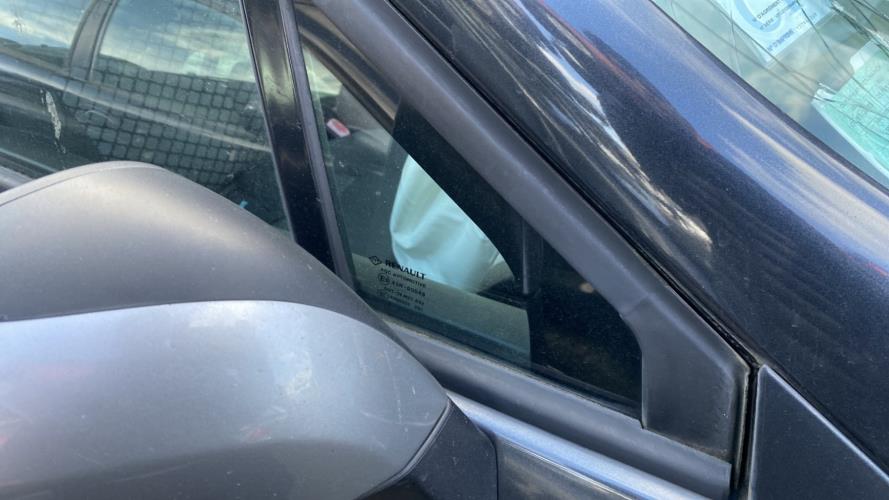 Image Custode avant droit (porte) - RENAULT GRAND SCENIC 3