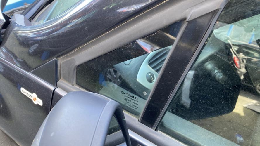 Image Custode avant gauche (porte) - RENAULT GRAND SCENIC 3