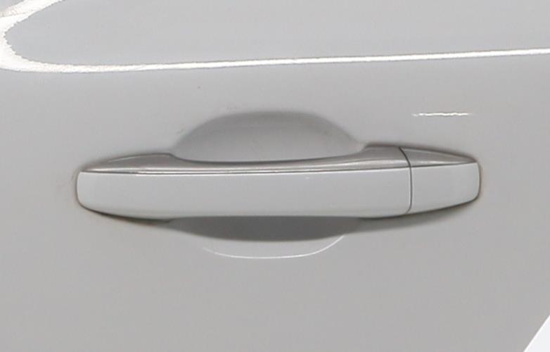 Image Porte arriere gauche - RENAULT MEGANE 4