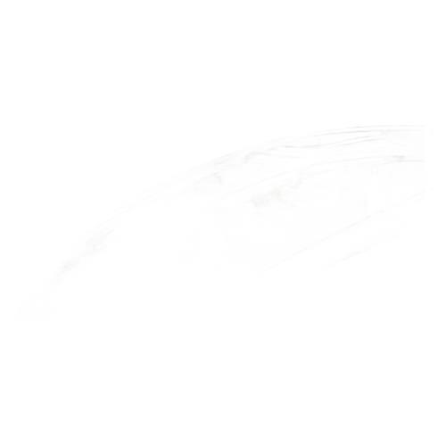 Image Optique avant principal droit (feux)(phare) - PEUGEOT 407