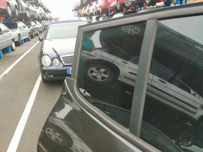 Image Custode arriere droit (porte) - RENAULT MEGANE 3