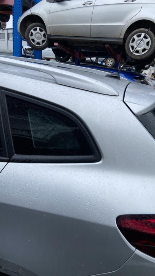Image Custode arriere gauche - RENAULT MEGANE 3