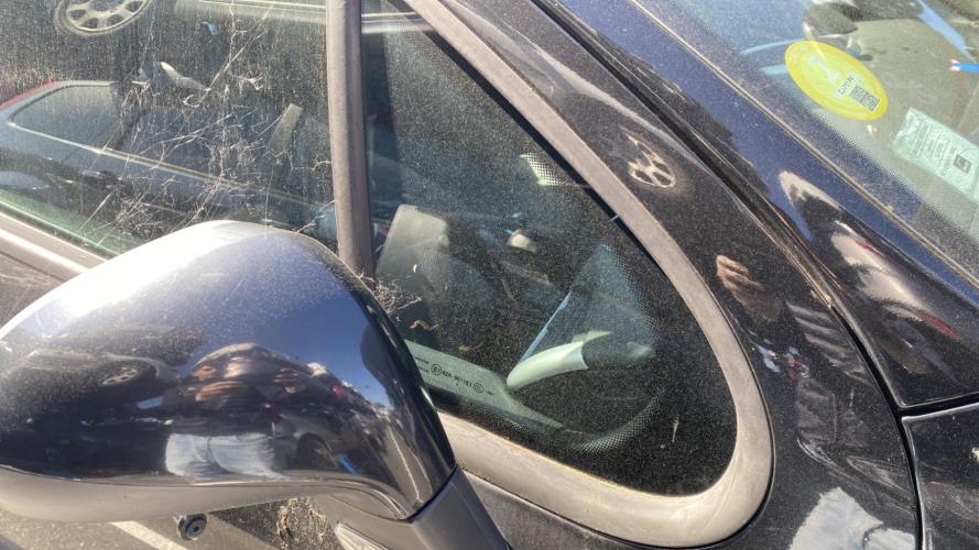 Image Custode avant droit (porte) - PEUGEOT 207