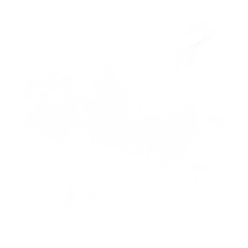 Image Poignee porte avant droit - PEUGEOT 308 2