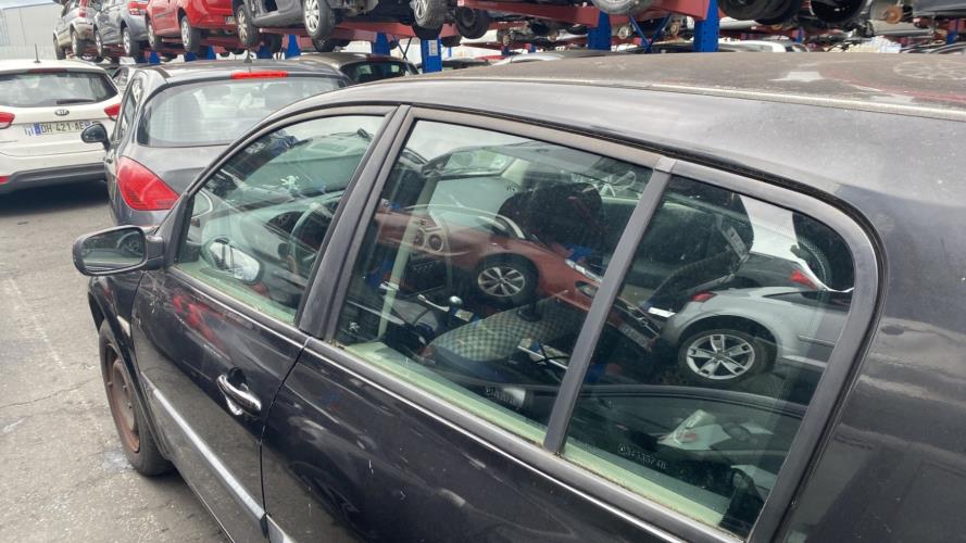 Image Custode arriere gauche (porte) - RENAULT MEGANE 2