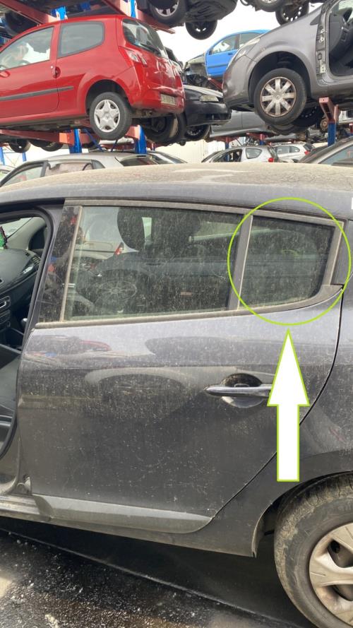 Image Custode arriere gauche (porte) - RENAULT MEGANE 3