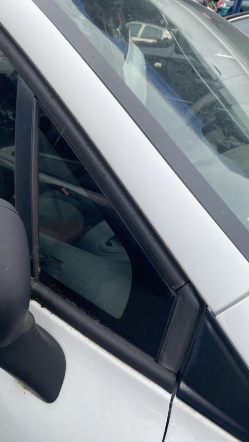 Image Custode avant droit (porte) - RENAULT CLIO 4