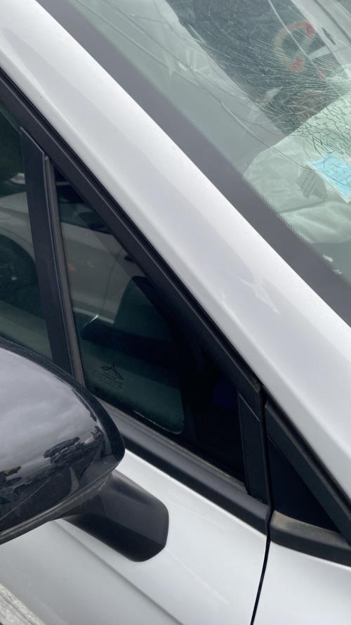Image Custode avant droit (porte) - RENAULT CLIO 5