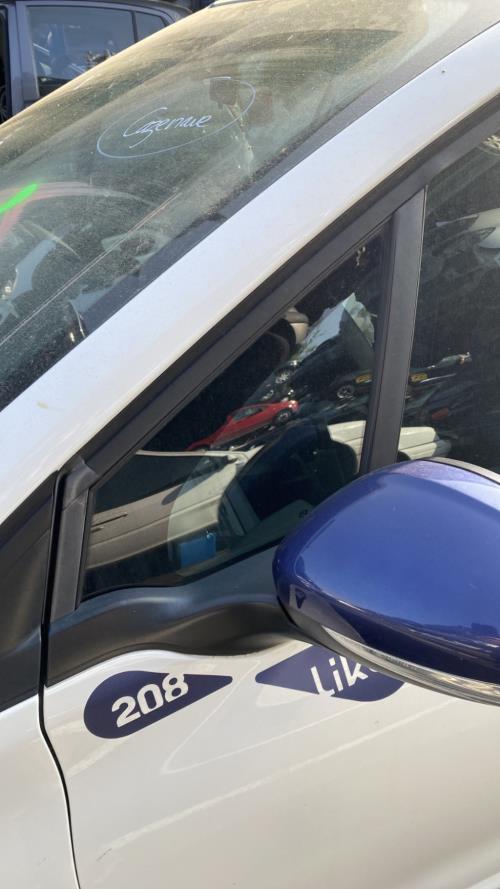 Image Custode avant gauche (porte) - PEUGEOT 208 1