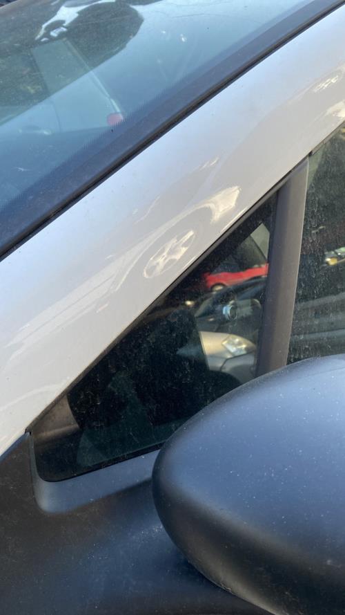 Image Custode avant gauche (porte) - RENAULT ZOE 2