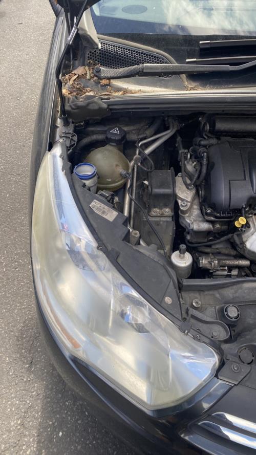 Image Optique avant principal droit (feux)(phare) - CITROEN C4 2