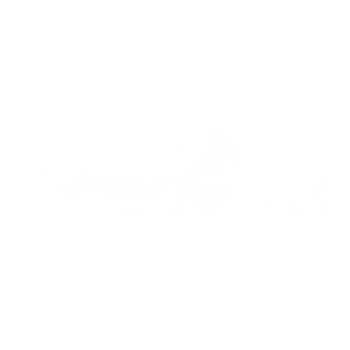 Image Leve vitre electrique arriere droit - VOLKSWAGEN GOLF PLUS