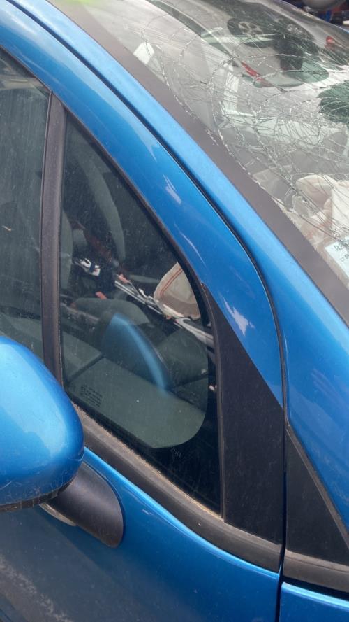 Image Custode avant droit (porte) - CITROEN C3 2