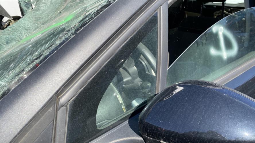 Image Custode avant gauche (porte) - CITROEN C3 3