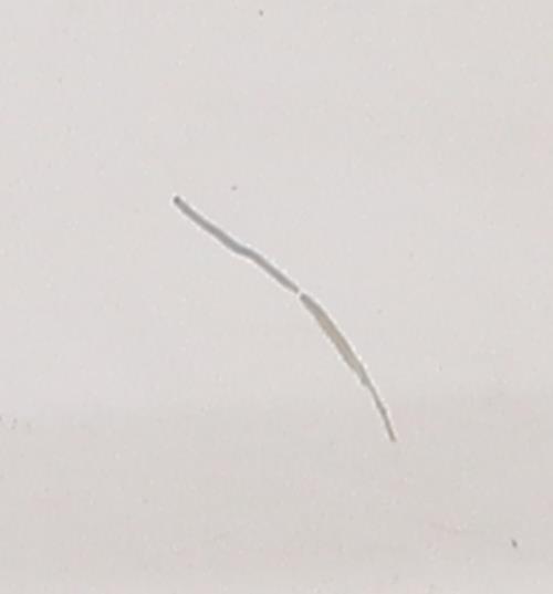 Image Porte avant gauche - CITROEN JUMPER 3