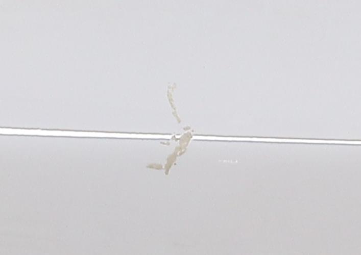 Image Porte arriere gauche - RENAULT ZOE 1