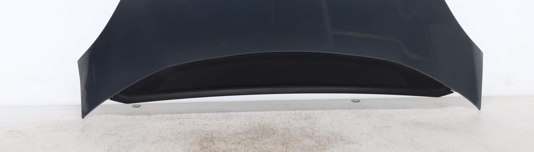 Image Capot - CITROEN C4 PICASSO 1