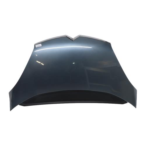 Image Capot - CITROEN C4 PICASSO 1