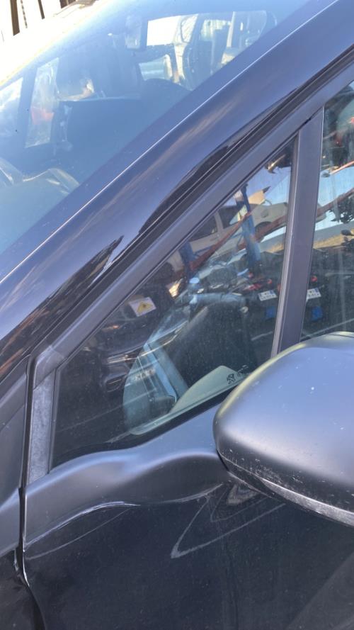 Image Custode avant gauche (porte) - PEUGEOT 208 1