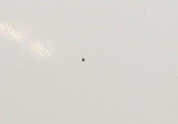 Image Capot - VOLKSWAGEN TRANSPORTER 5