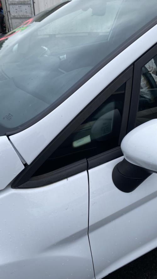 Image Custode avant gauche - FORD FIESTA 6