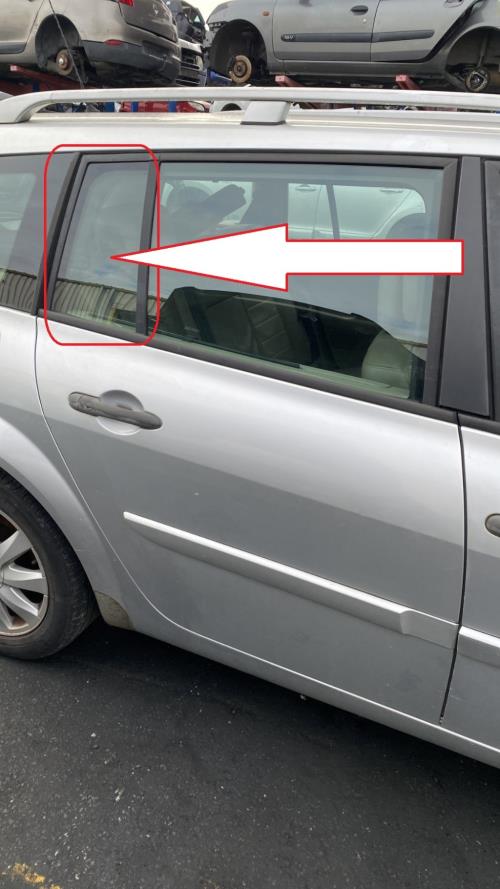 Image Custode arriere droit (porte) - RENAULT MEGANE 2