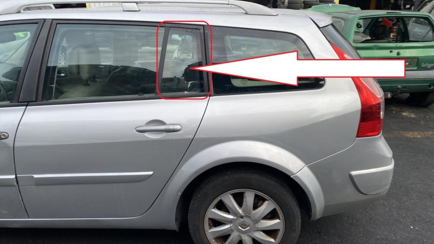 Image Custode arriere gauche (porte) - RENAULT MEGANE 2