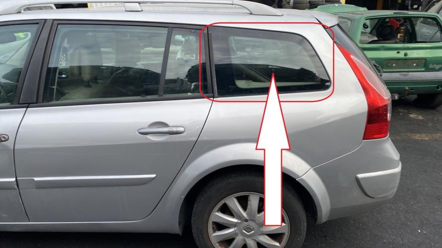 Image Custode arriere gauche - RENAULT MEGANE 2