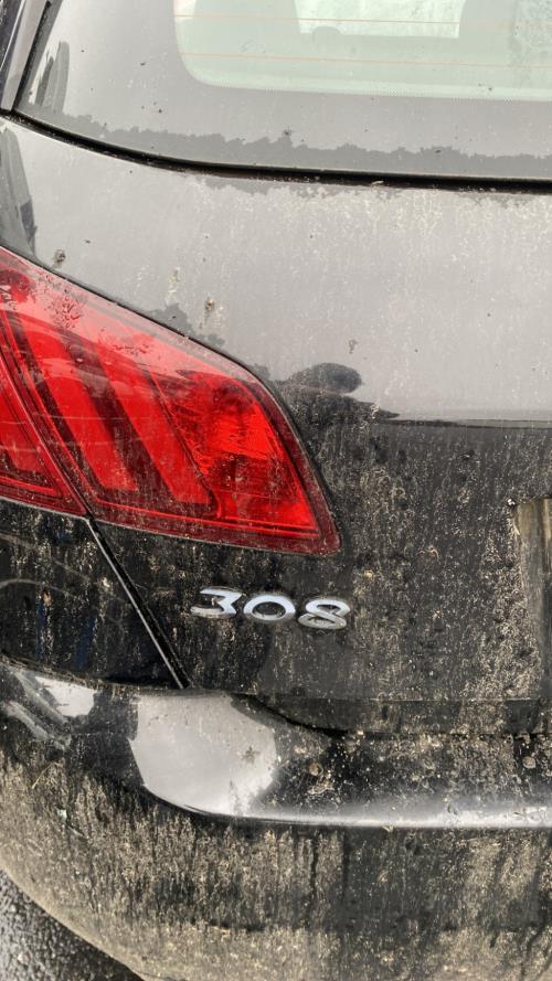 Image Feu arriere secondaire gauche (feux) - PEUGEOT 308 2