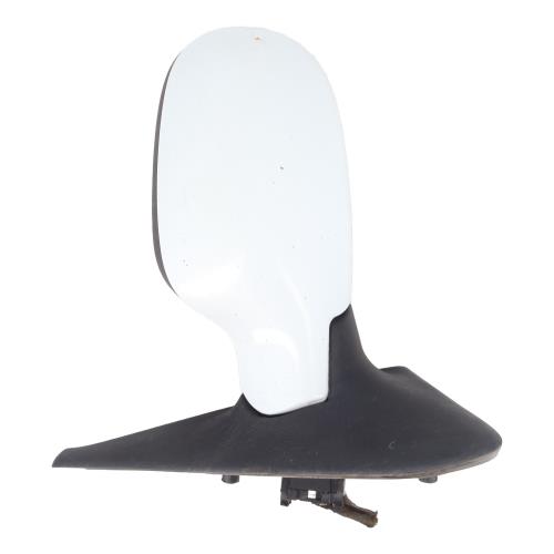 Image Retroviseur gauche - RENAULT THALIA