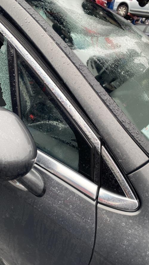 Image Custode avant droit (porte) - CITROEN DS4