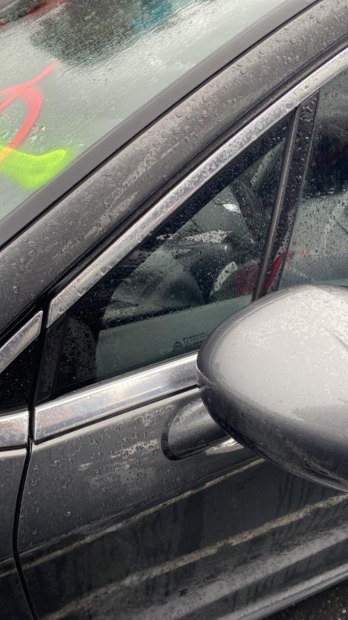 Image Custode avant gauche (porte) - CITROEN DS4