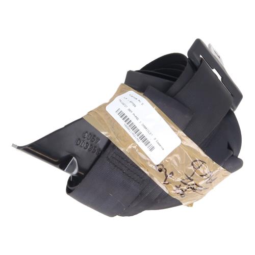 Image Custode avant droit (porte) - PEUGEOT 307