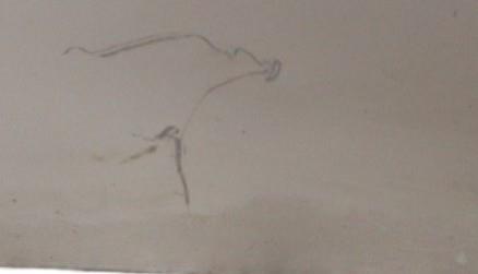 Image Porte avant gauche - RENAULT TWINGO 2